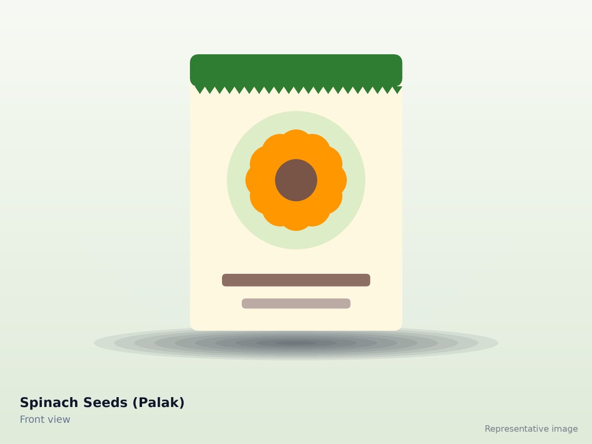 Spinach Seeds (Palak) – front view (representative image)