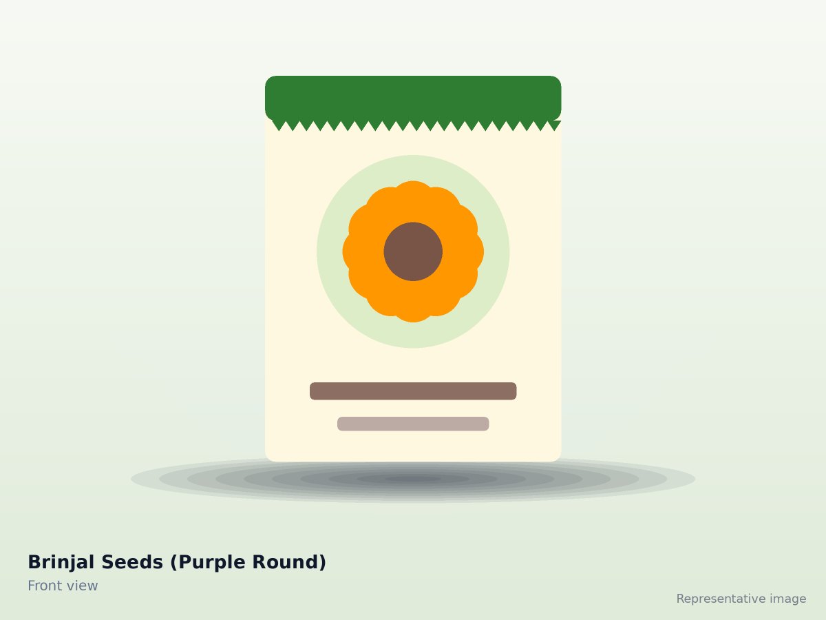 Brinjal Seeds (Purple Round)