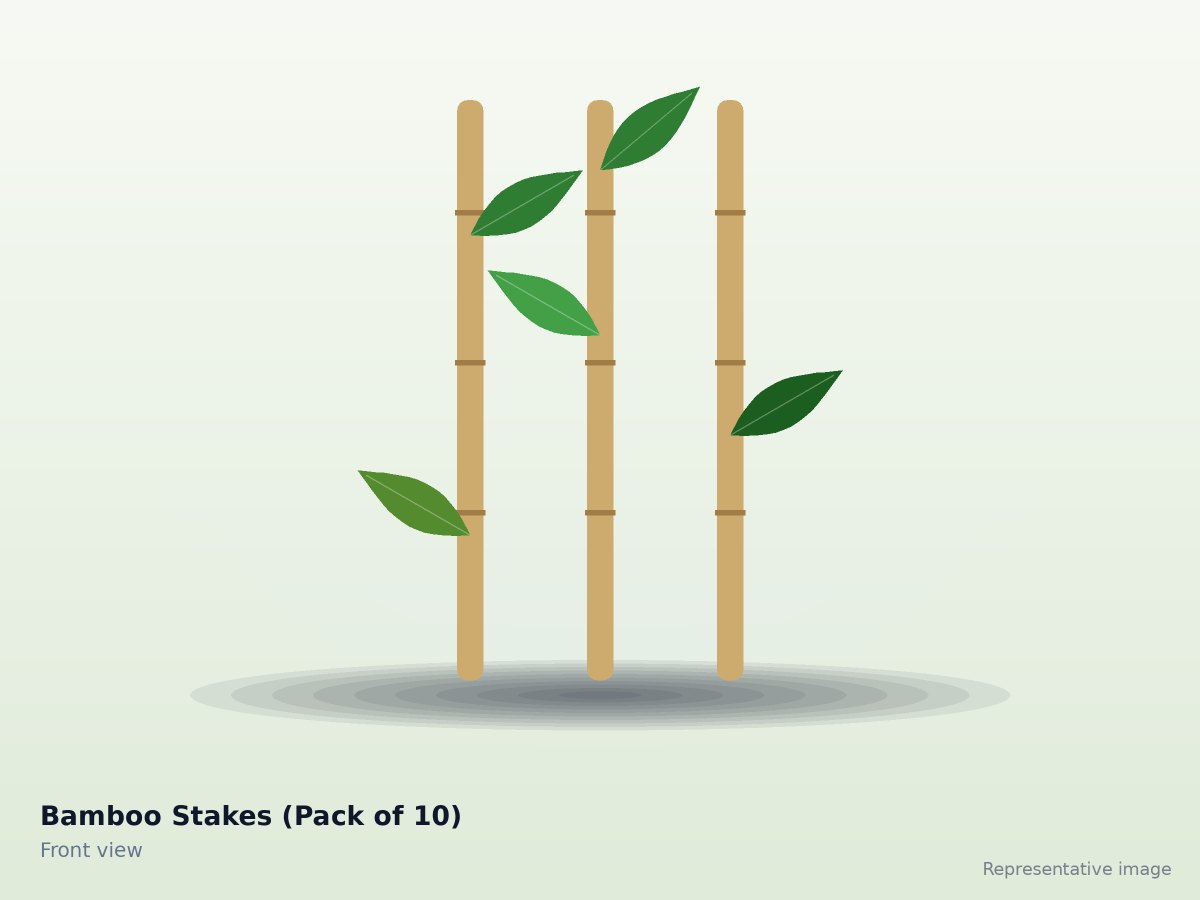Bamboo Stakes (Pack of 10) – front view (representative image)