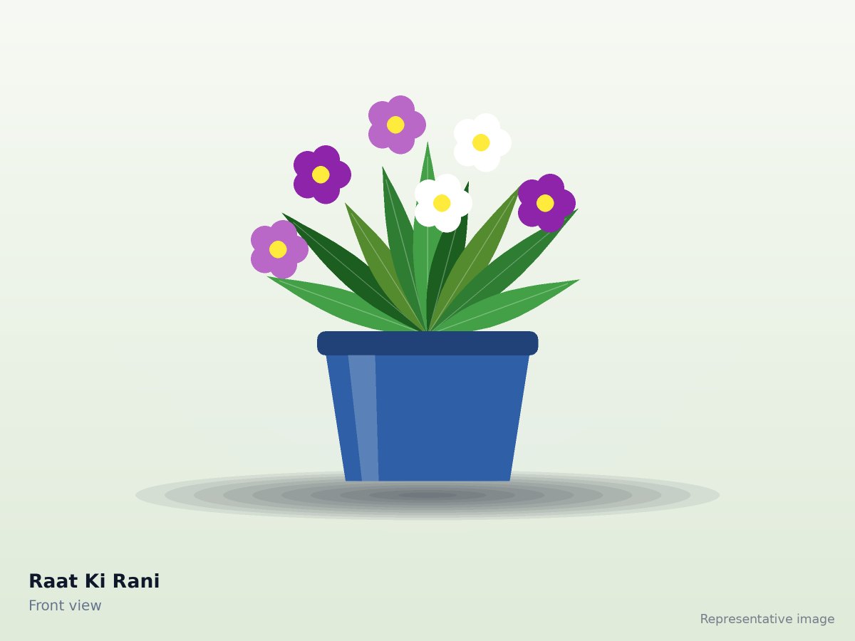 Raat Ki Rani