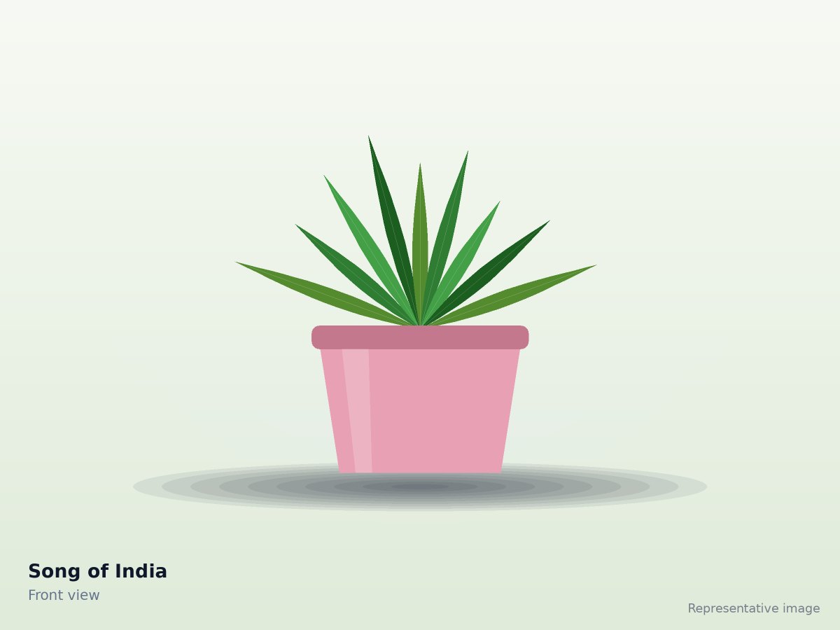 Song of India – front view (representative image)